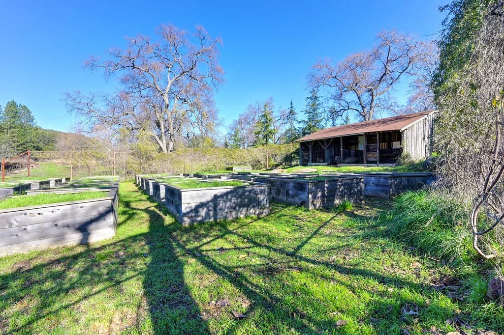 13598 Desperado Dr Photo 10