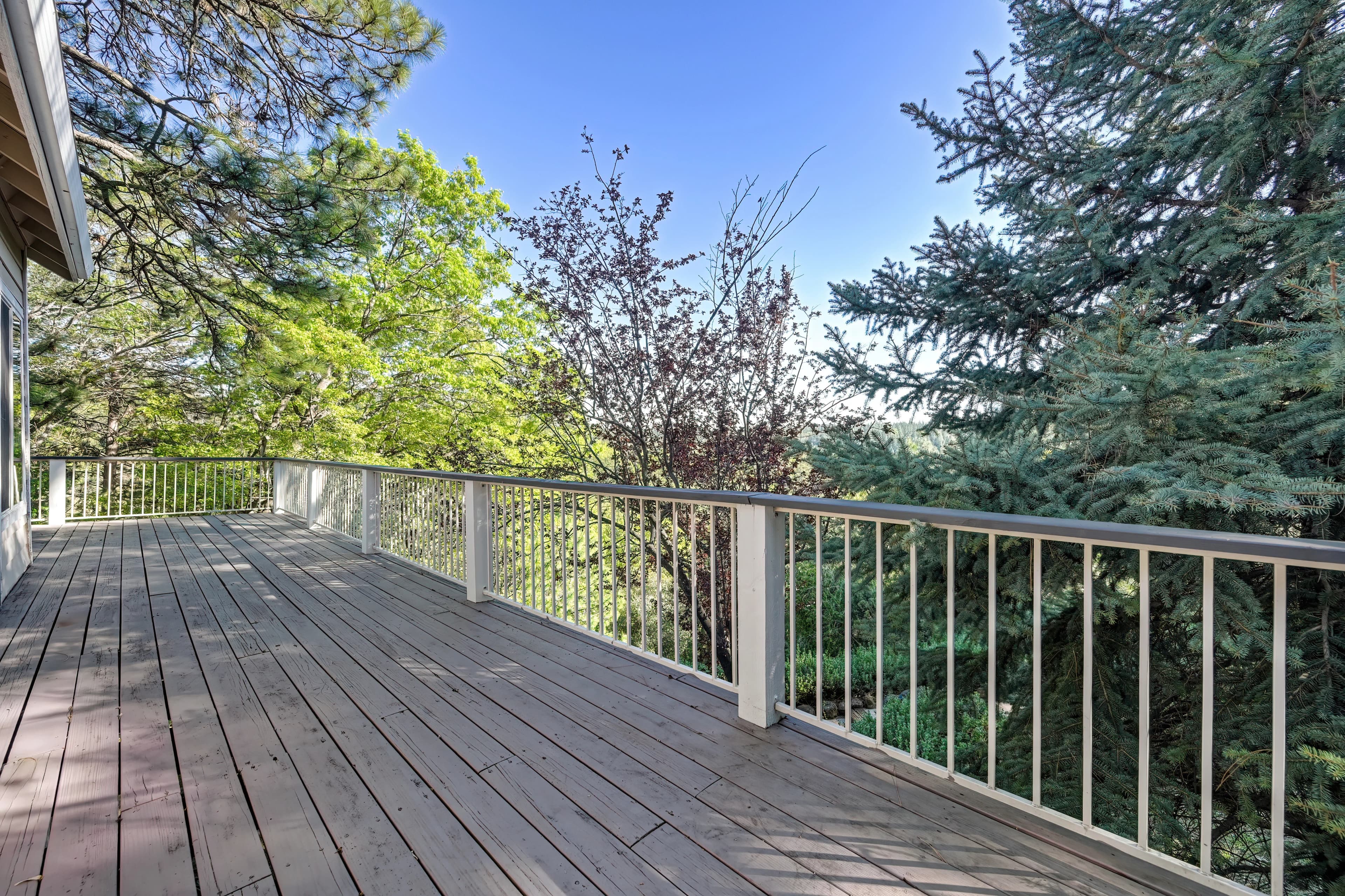 20312 Wolf Creek Rd Photo 11