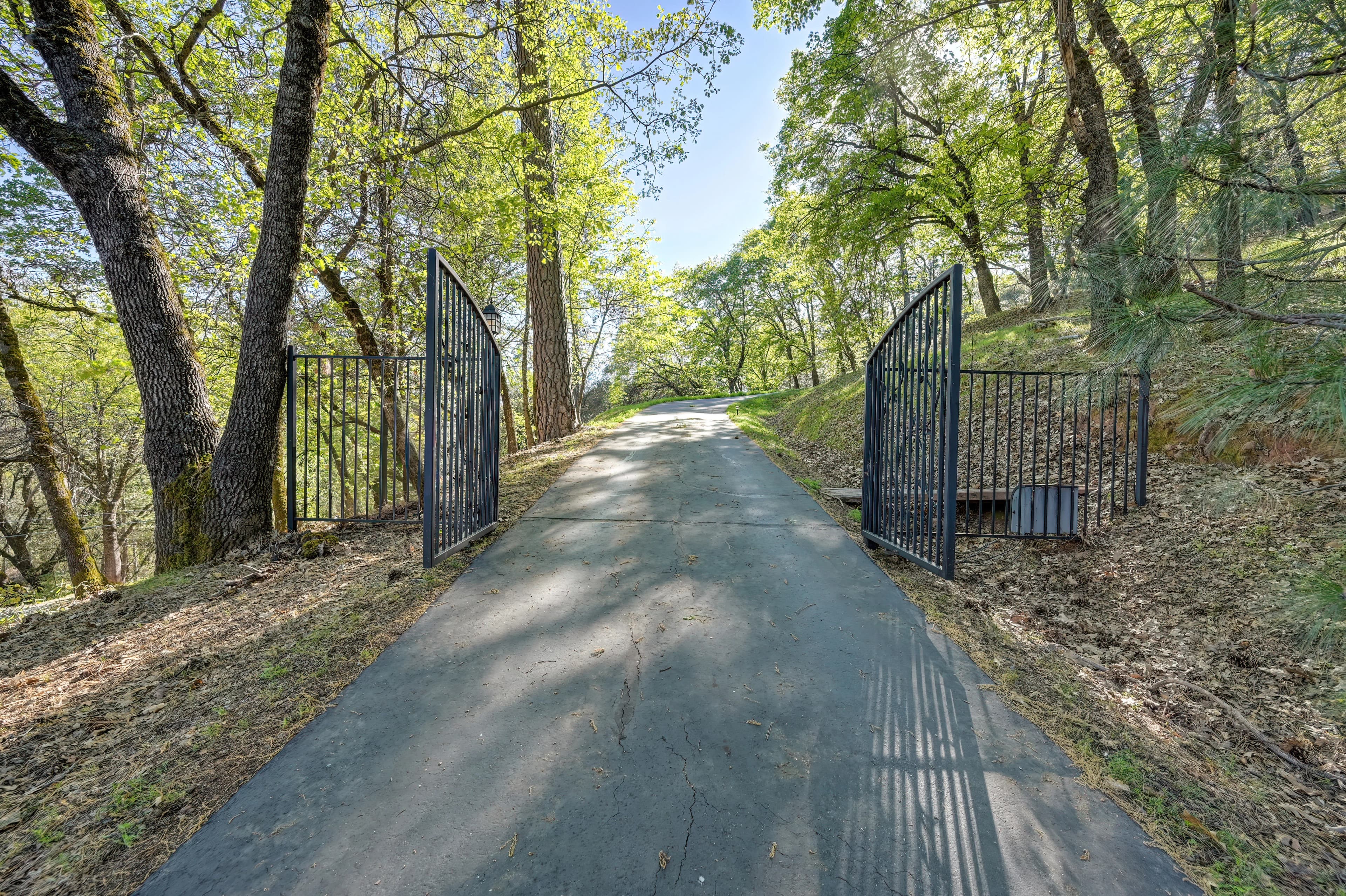 20312 Wolf Creek Rd Photo 2