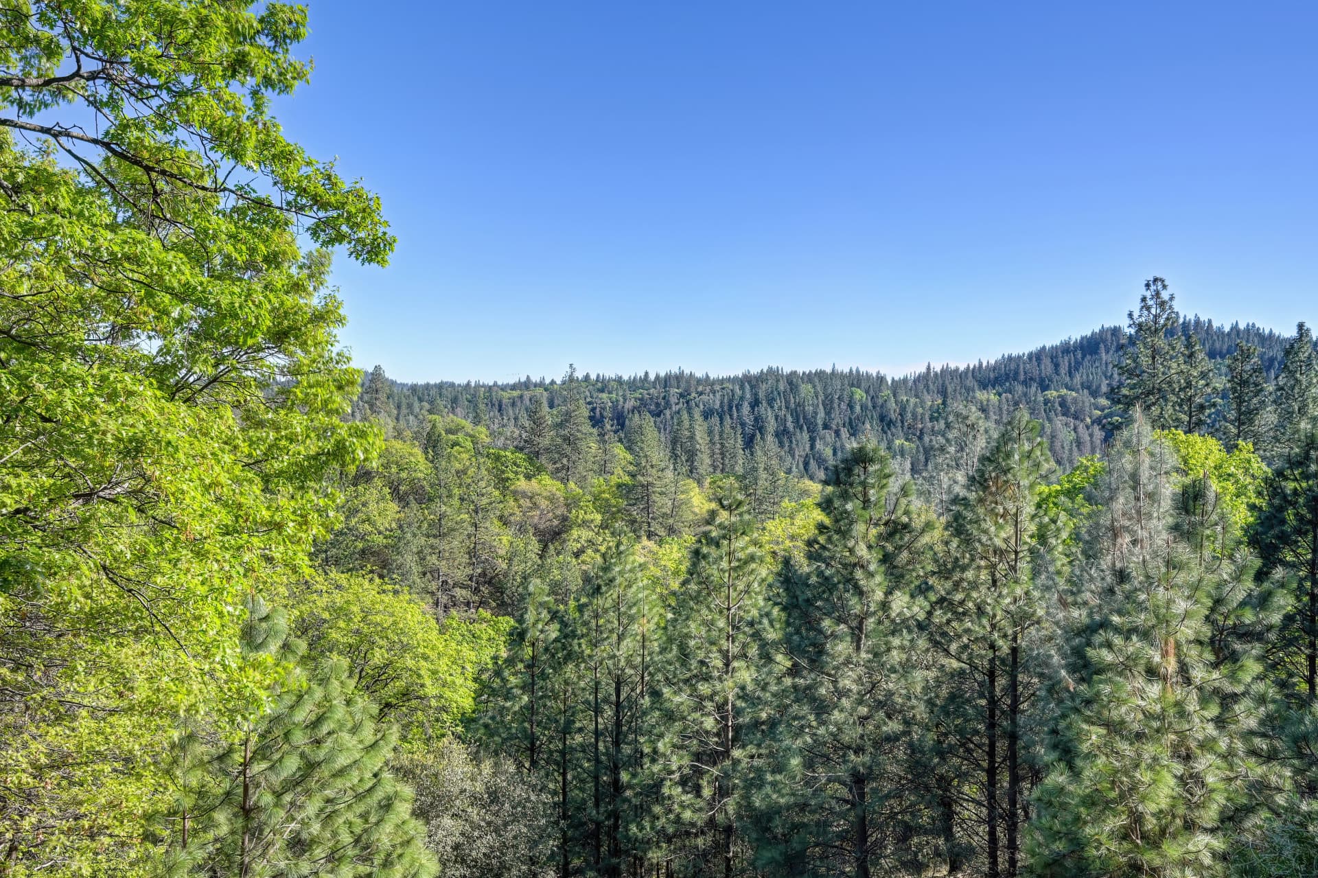 20312 Wolf Creek Rd Photo 12