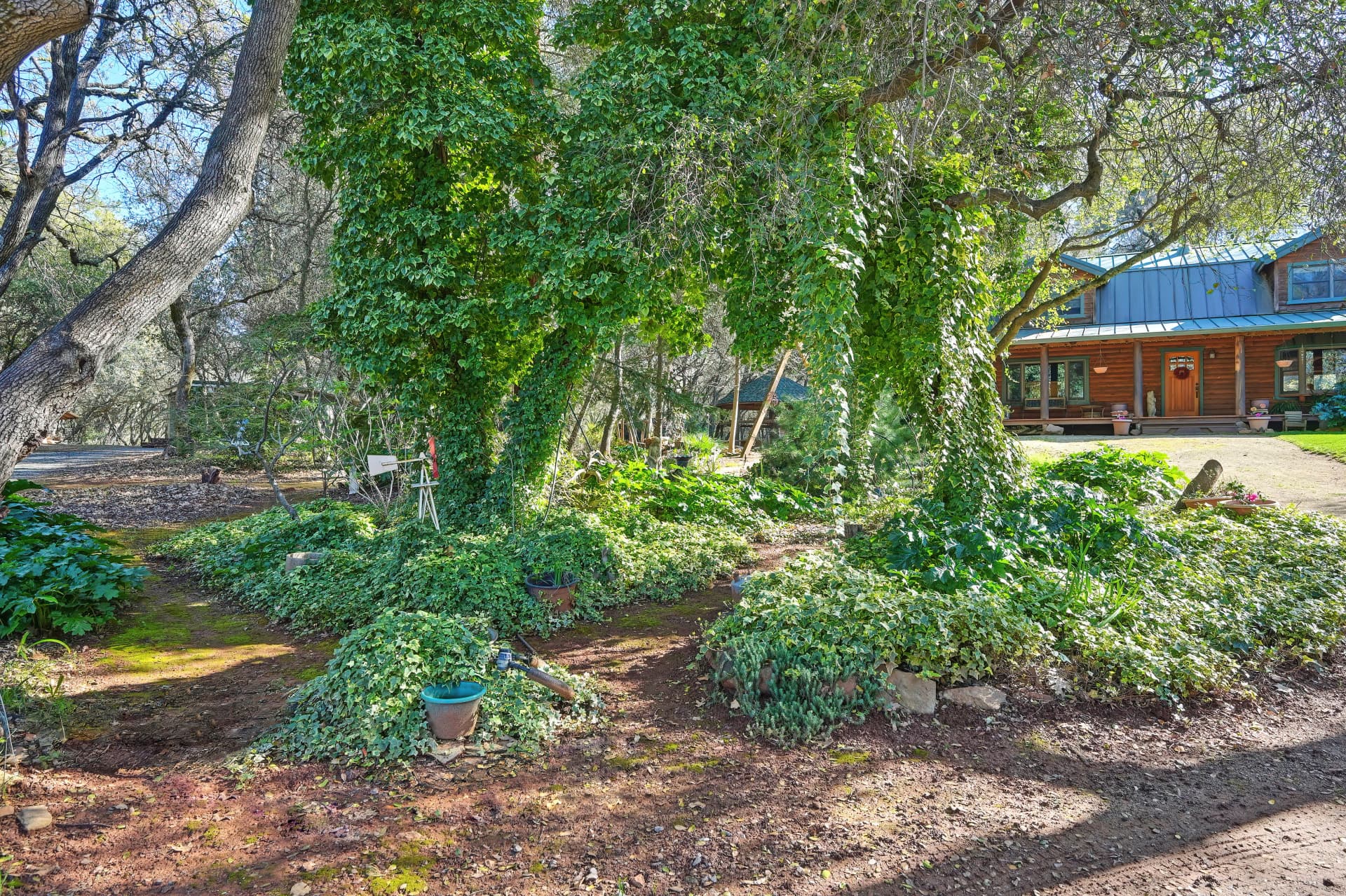 4651 Pilot Creek Ln Photo 4