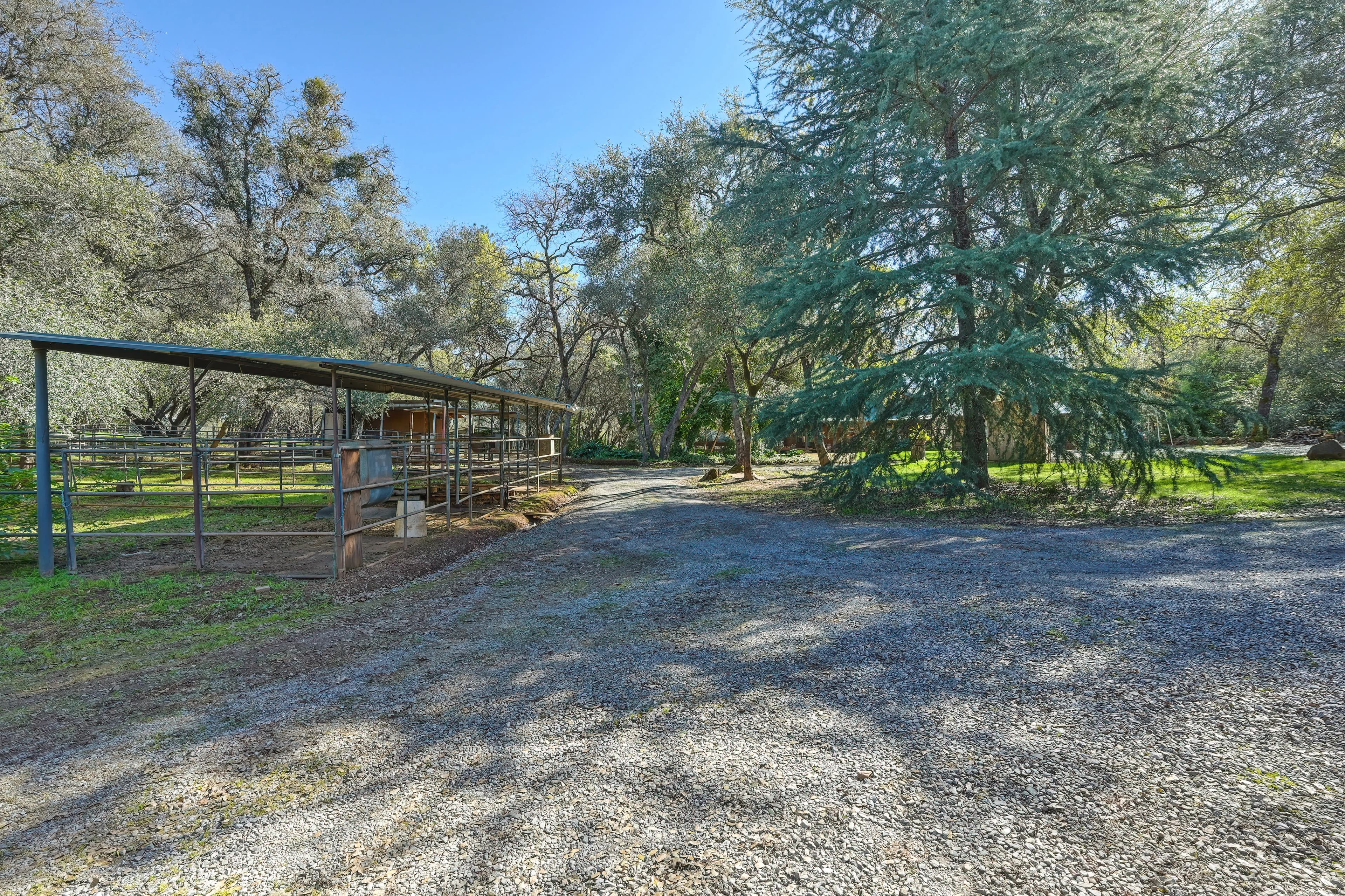 4651 Pilot Creek Ln Photo 27