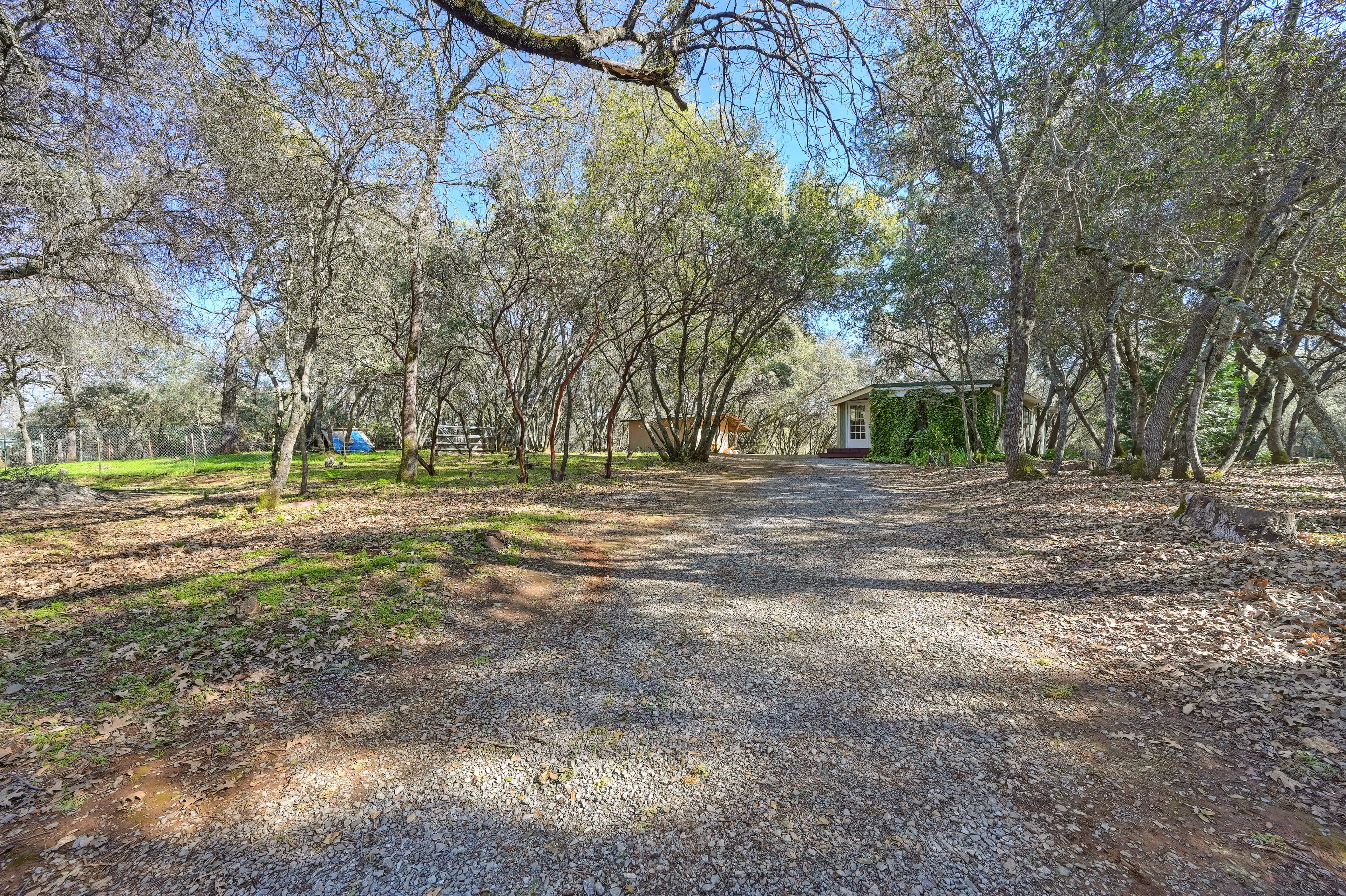 4651 Pilot Creek Ln Photo 31