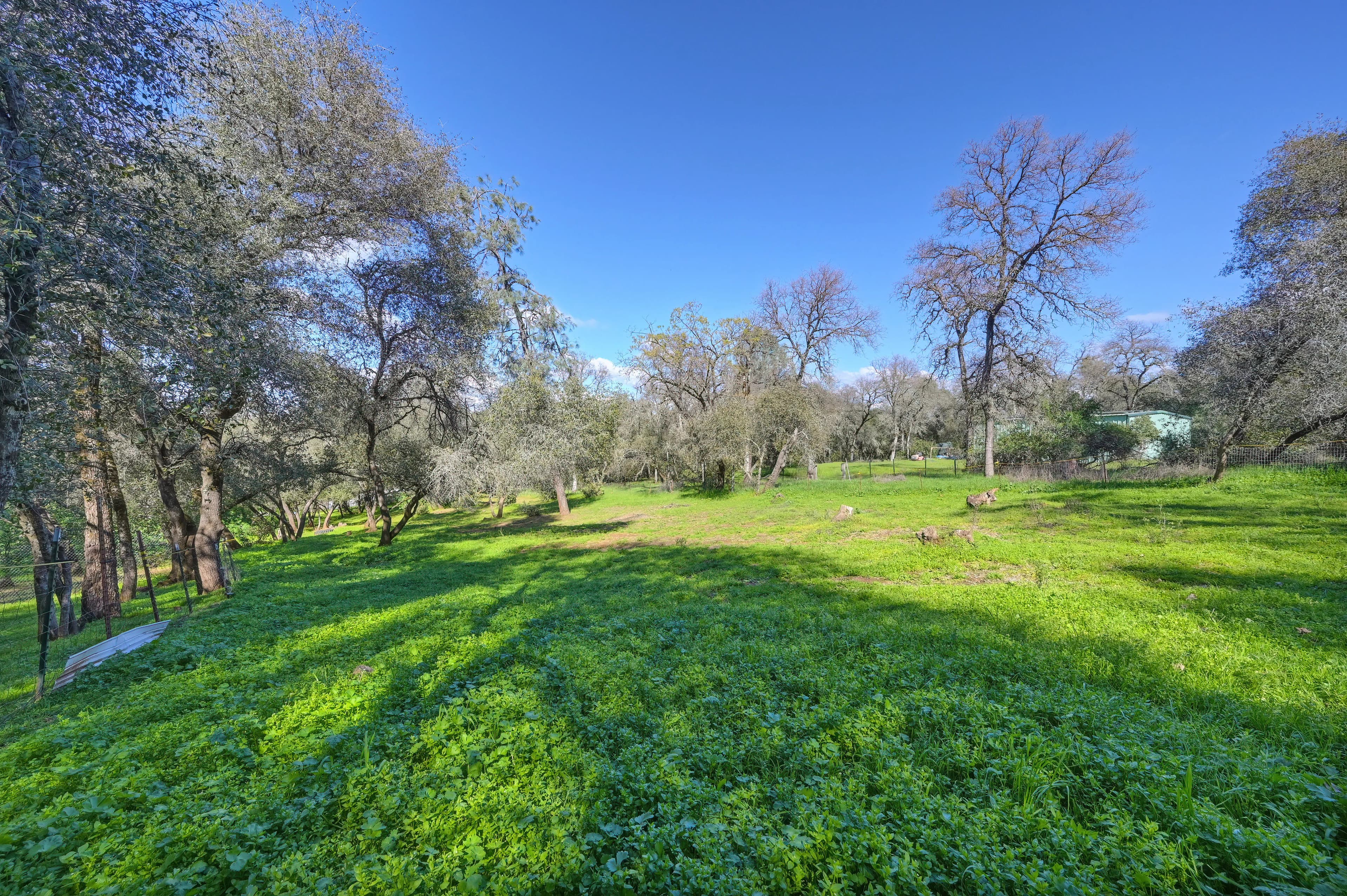 4651 Pilot Creek Ln Photo 33