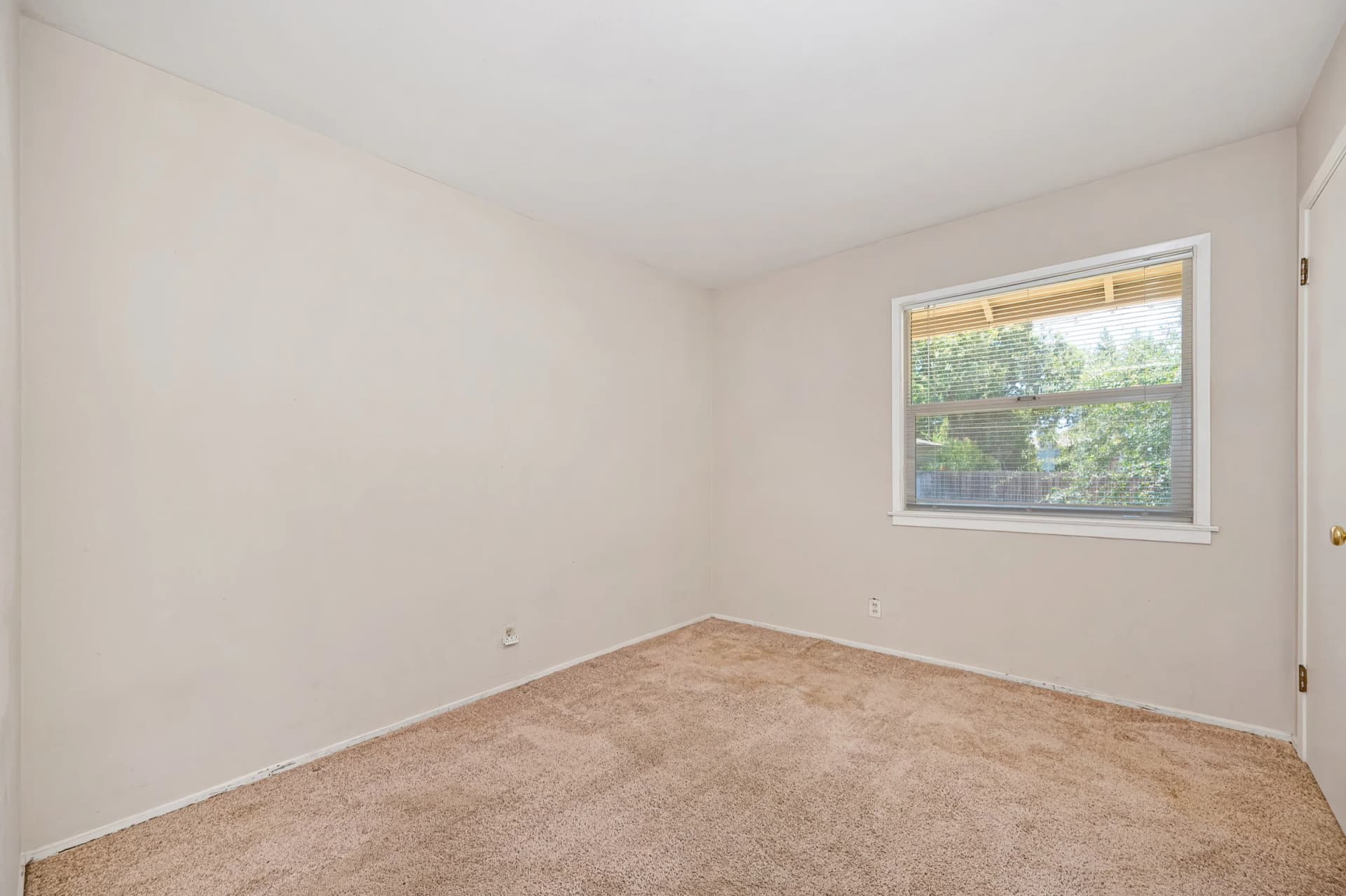 6305 Templeton Dr Photo 9