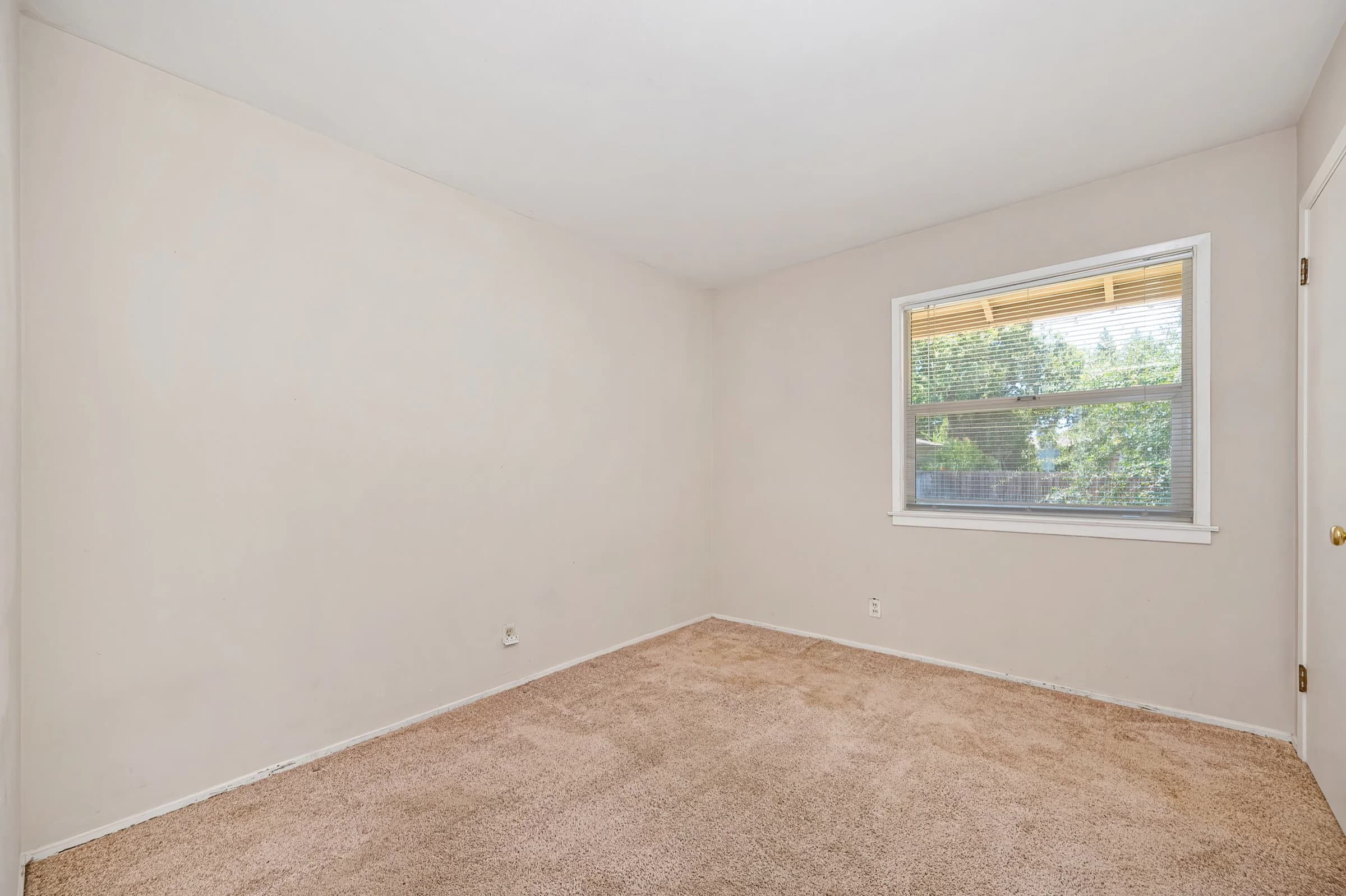 6305 Templeton Dr Photo 9